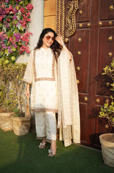 White Chanderi suit